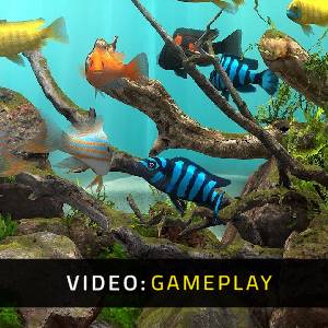 Behind Glass: Aquarium Simulator - Video di Gameplay