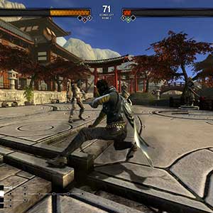 stile di combattimento unico