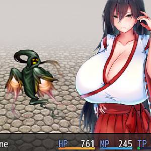 Blazing Priestess Shizune Combattimento