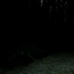 Blood Hunting - Grotta