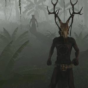 Bootstrap Island - Nativi