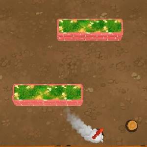 Bouncy Chicken - Scatto