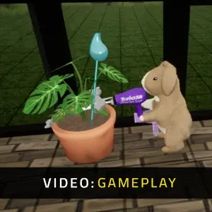 Bunhouse - Gameplay