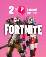2 Random Fortnite Skins Xbox One