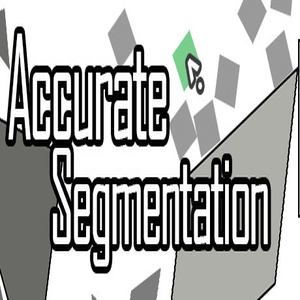 Acquistare Accurate Segmentation CD Key Confrontare Prezzi
