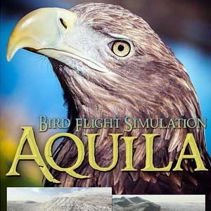 Aquila Bird Flight Simulator Pc