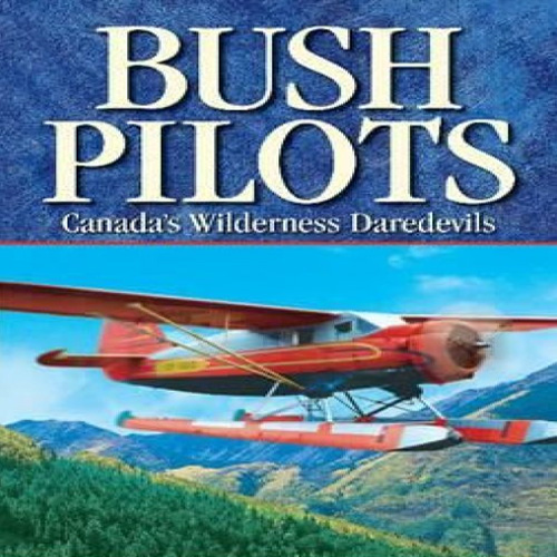 Acquista CD Key Aviator Bush Pilot Confronta Prezzi