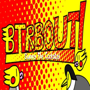 BIRBOUT