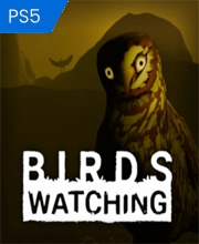 Birds Watching Playstation 5