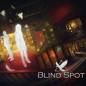 Blind Spot Playstation 4