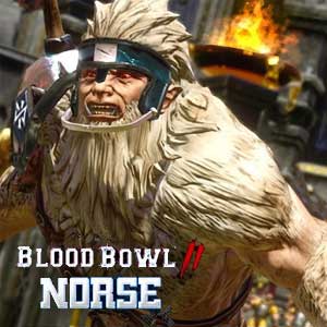 Acquista CD Key Blood Bowl 2 Norse Confronta Prezzi