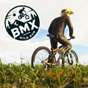 BMX Wild Run Switch