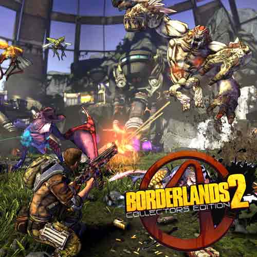 Acquista CD Key Borderlands 2 Collectors Edition Pack DLC Confronta Prezzi
