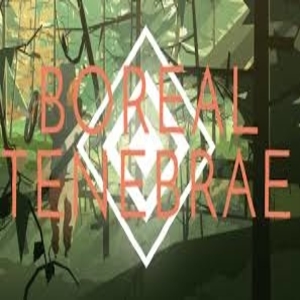 Acquistare Boreal Tenebrae Xbox Series Gioco Confrontare Prezzi