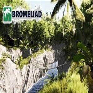 Bromeliad Pc