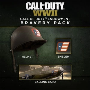 COD WW2 Call of Duty Endowment Bravery Pack