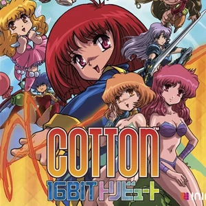Cotton 16Bit Tribute Switch