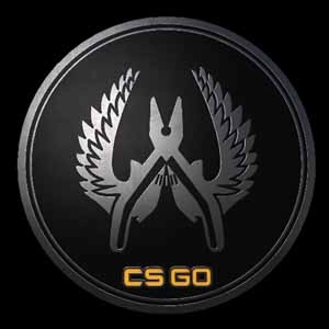CSGO Series 1 Guardian Collectible Pin Pc