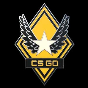 CSGO Series 1 Victory Collectible Pin