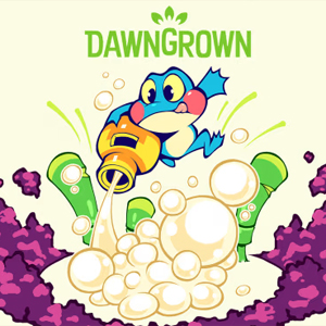 Dawngrown Switch