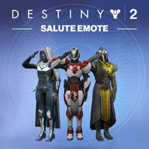Destiny 2 Salute Emote Pc