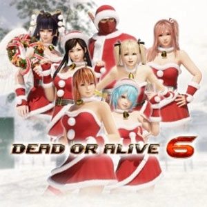 DOA6 Santa's Helper Costume Set Pc