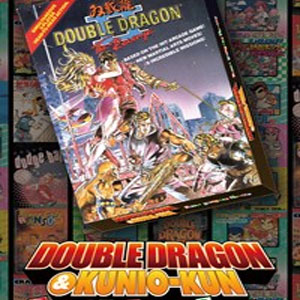 Acquistare DOUBLE DRAGON 2 The Revenge Nintendo Switch Confrontare i prezzi