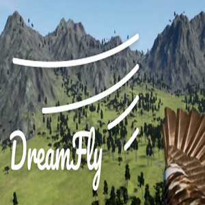 Acquistare DreamFly VR CD Key Confrontare Prezzi