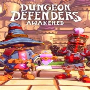 Dungeon Defenders Awakened Original Hero Paper Masks