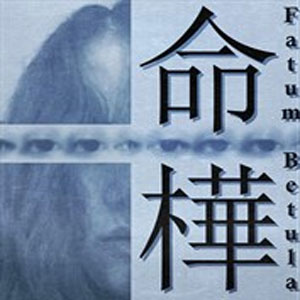 Acquistare Fatum Betula Xbox Series Gioco Confrontare Prezzi