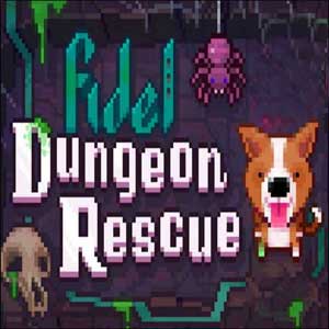 Acquistare Fidel Dungeon Rescue CD Key Confrontare Prezzi