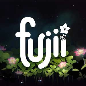 Fujii Playstation 4
