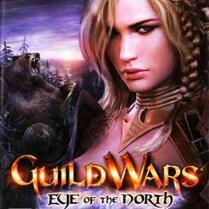 Acquista CD Key Guild Wars Eye Of The North Confronta Prezzi