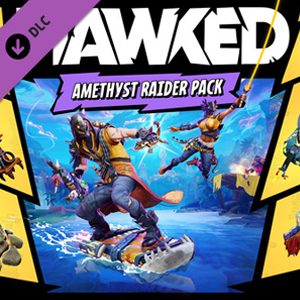 HAWKED Amethyst Raider Pack Pc
