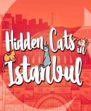 Hidden Cats in Istanbul Pc