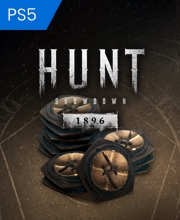 Acquistare Hunt Showdown 1896 Blood Bonds PS5 Confrontare Prezzi