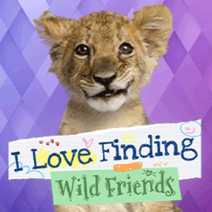 I love Finding Wild Friends Playstation 5