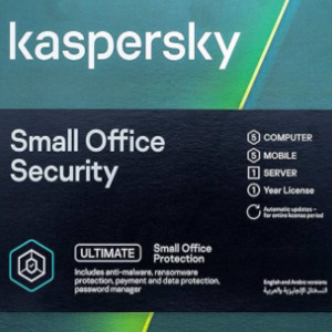Kaspersky Small Office Security 2022 Pc