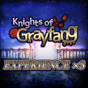 Knights of Grayfang Experience x3 Playstation 5