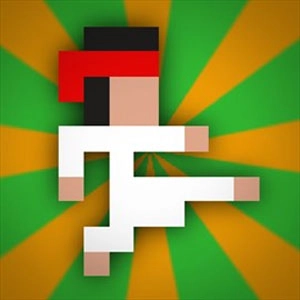 Kung Fu FIGHT Xbox Series X