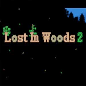 Acquista CD Key Lost in Woods 2 Confronta Prezzi