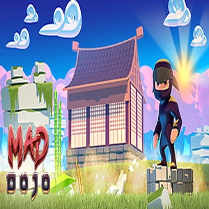 Mad Dojo Pc