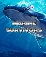 Marine Survivors Pc