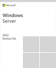Microsoft Windows Server 2022 CAL Pc