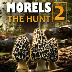 Morels The Hunt 2 Pc
