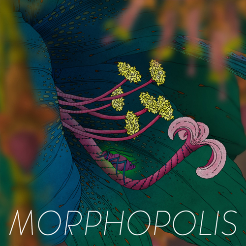 Acquista CD Key Morphopolis Confronta Prezzi
