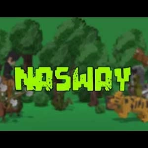 NASWAY Pc