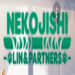 Nekojishi Lin & Partners Pc