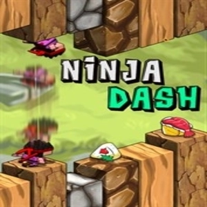 Ninja Dash 3D Pc