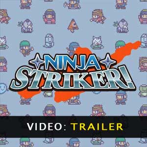 Acquistare Ninja Striker CD Key Confrontare Prezzi